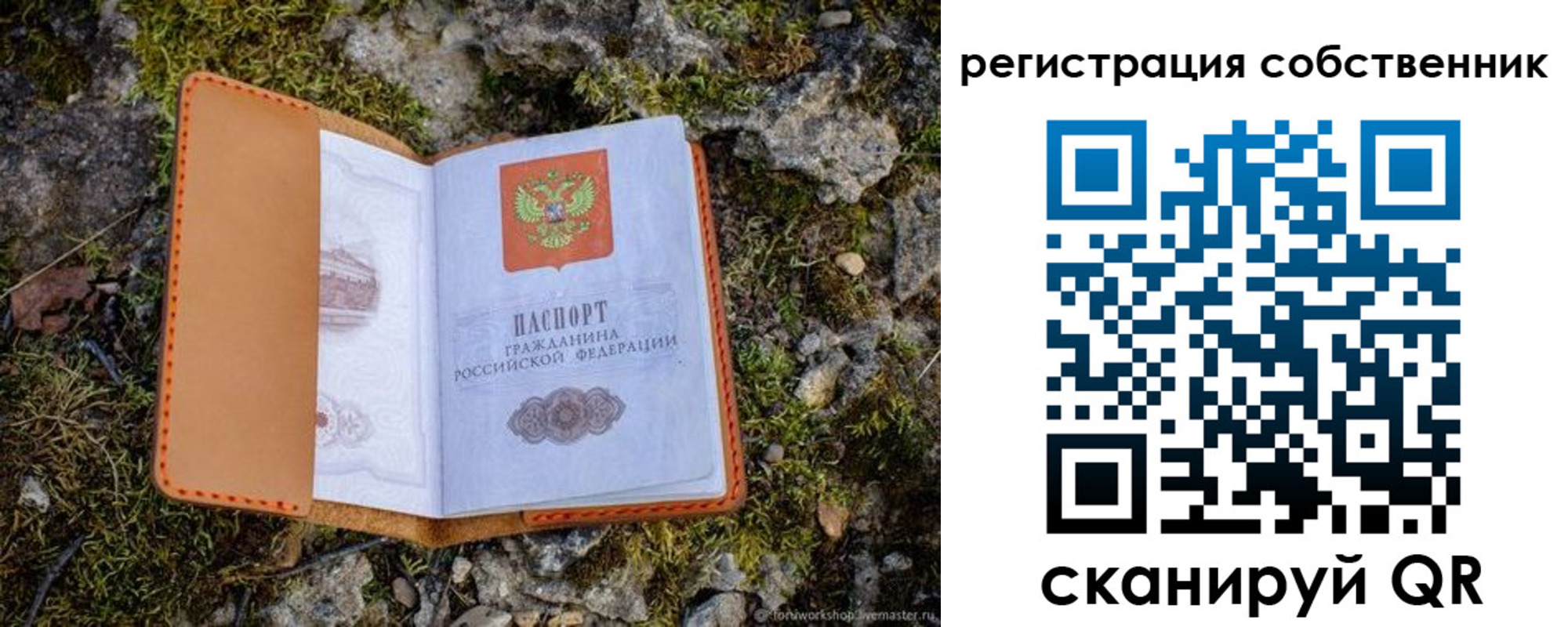 прописка поиск в Заволжске